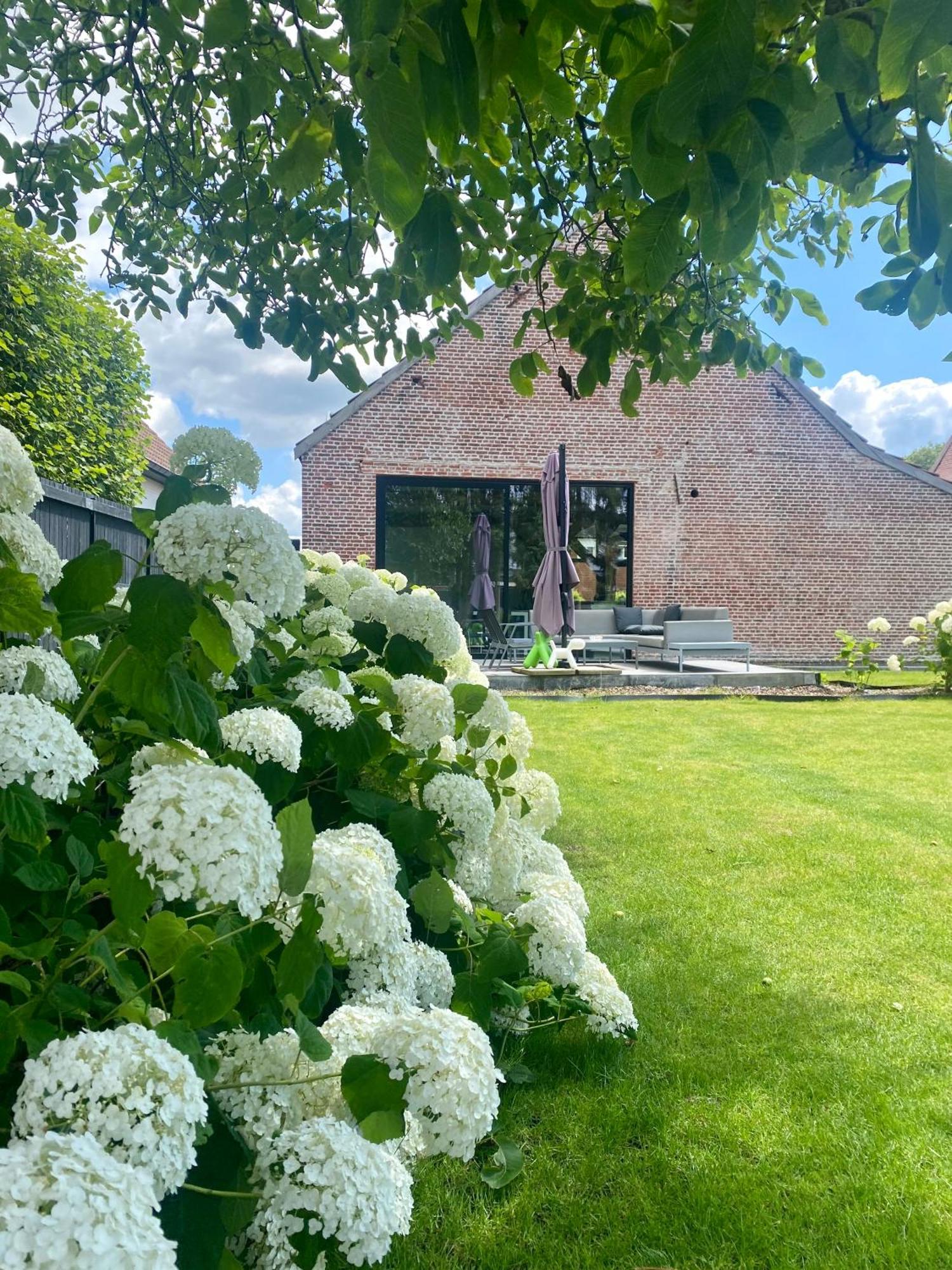 Hoeve De Kleinheide Dessel Exteriér fotografie