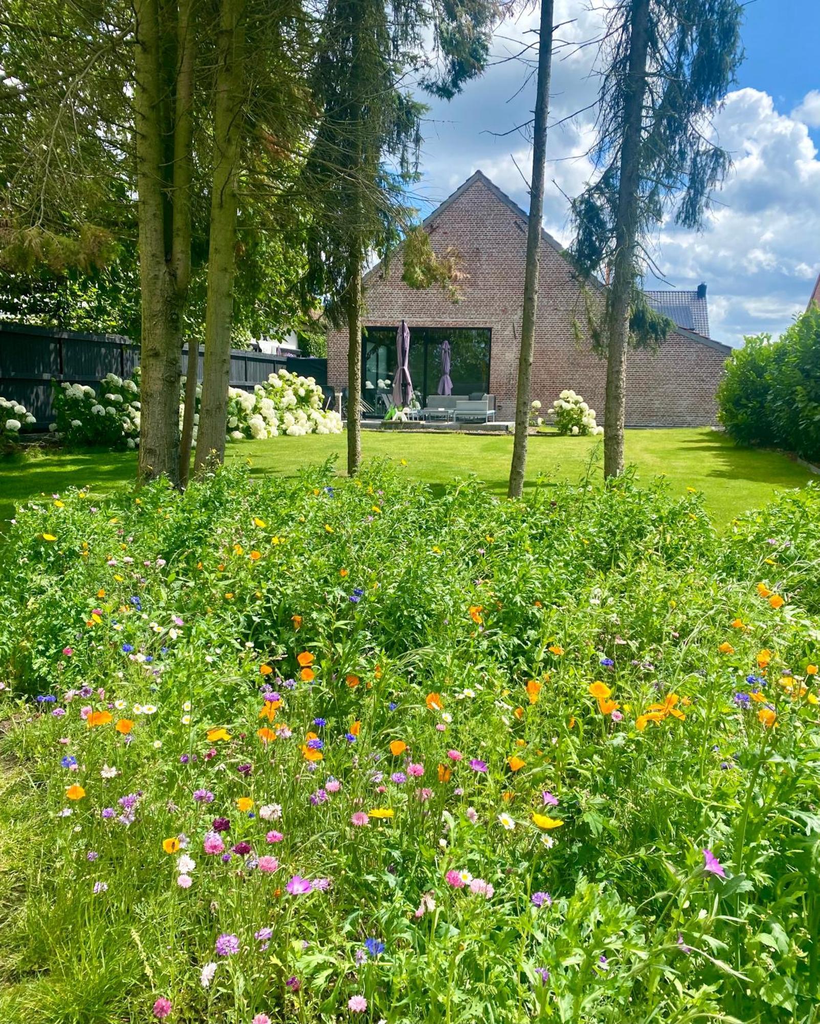 Hoeve De Kleinheide Dessel Exteriér fotografie