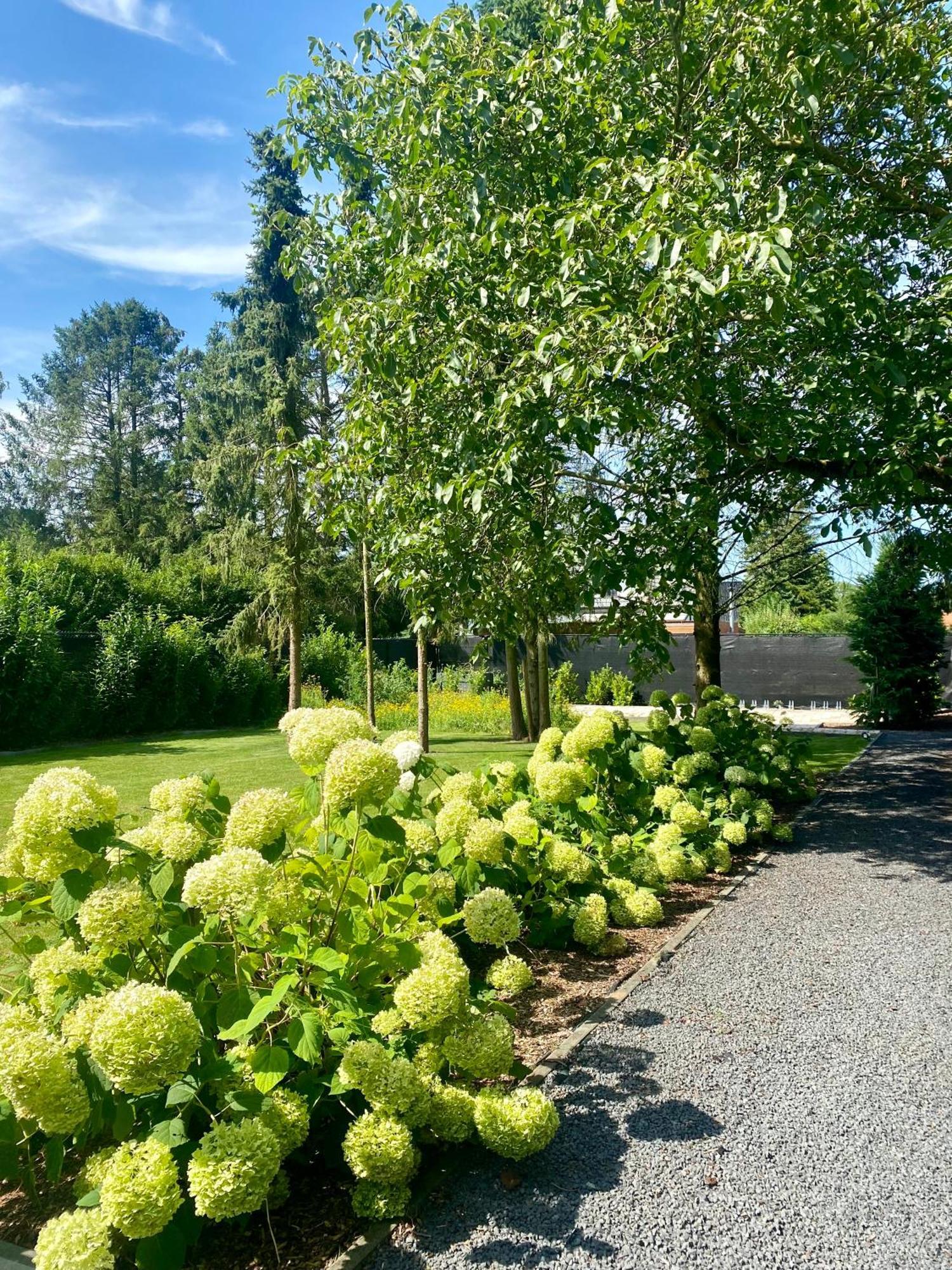 Hoeve De Kleinheide Dessel Exteriér fotografie